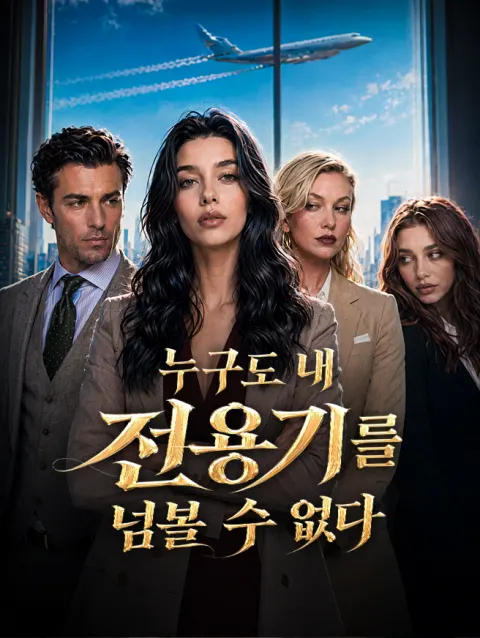 누구도 내 전용기를 넘볼 수 없다 poster