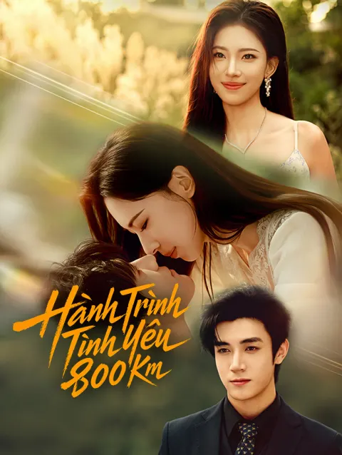 Hành Trình Tình Yêu 800 Km poster