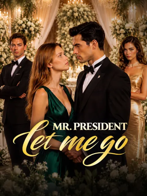 Mr. President Let Me Go poster
