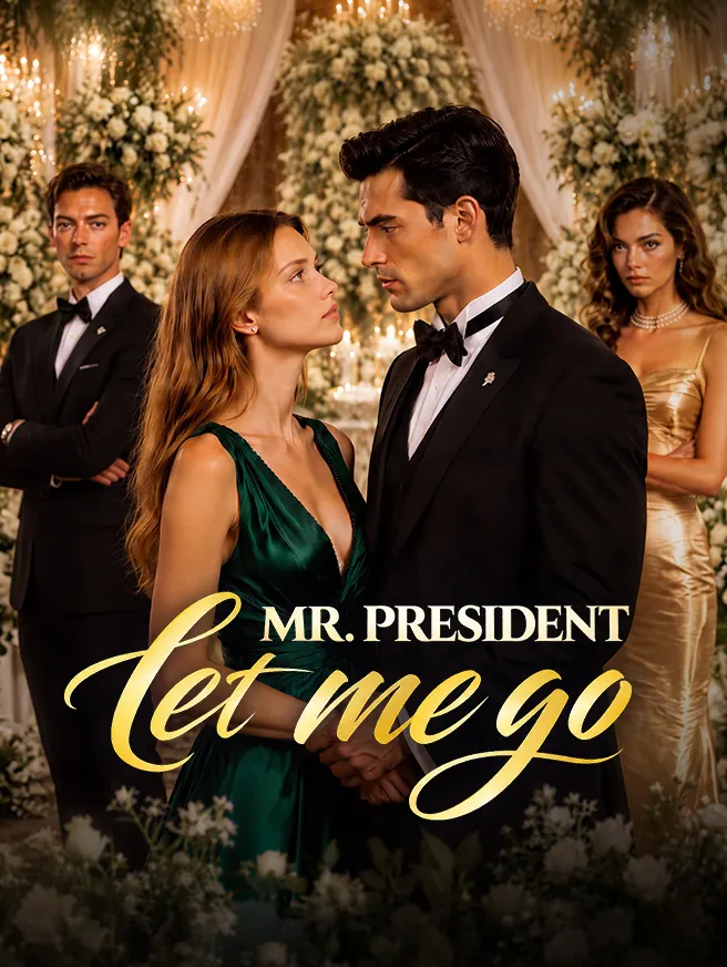 Mr. President Let Me Go poster
