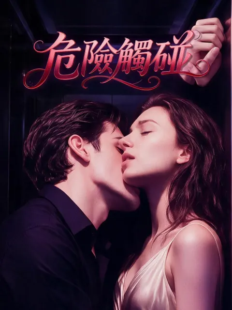 危險觸碰 poster