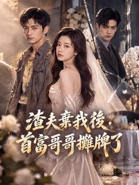 渣夫棄我後,首富哥哥攤牌了 poster