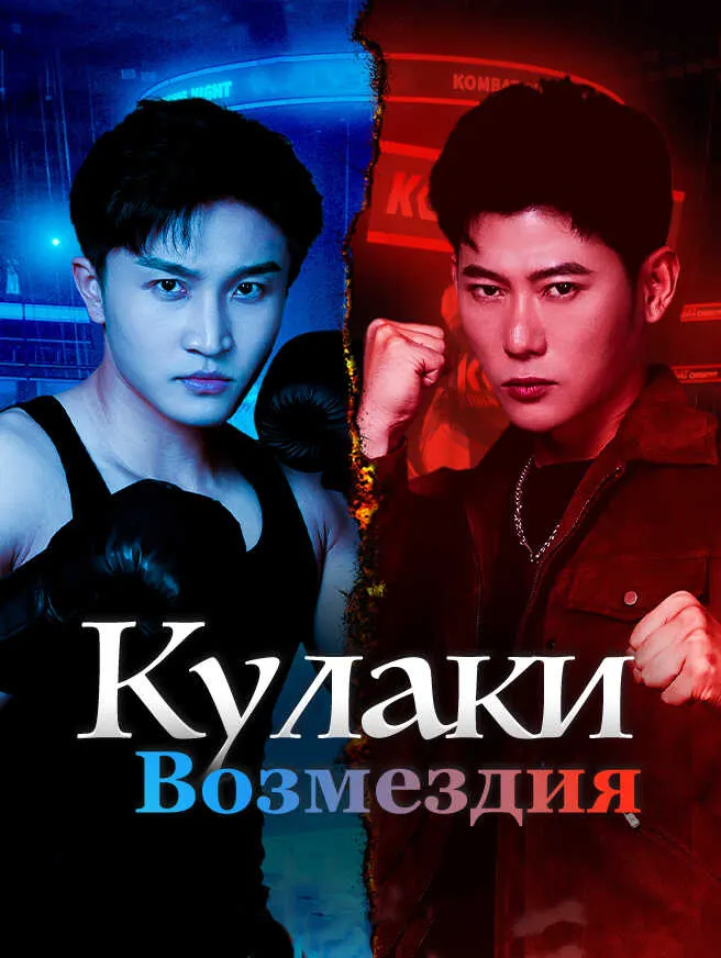 Кулаки Возмездия poster