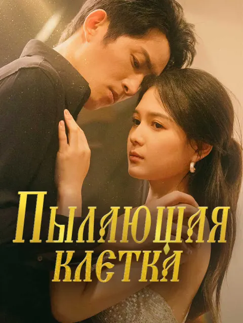 Пылающая клетка poster