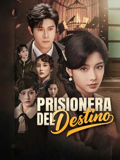Prisionera del destino poster